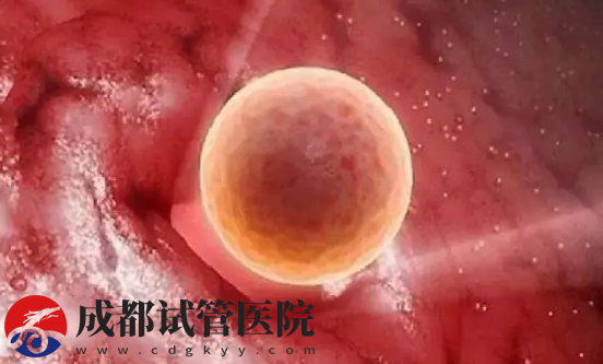 3天鲜胚的着床过程，第二天就开始细胞分化(图1)