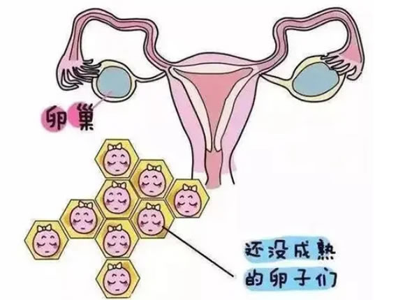 孕妇从怀孕后想知道男孩女孩怎么办？科学检测胎儿性别方法有什么？(图1)
