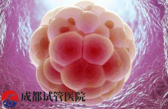 囊胚移植后1到14天变化图,不同症状要知道(图1) 囊胚移植后1到14天变化图,不同症状要知道(图1)