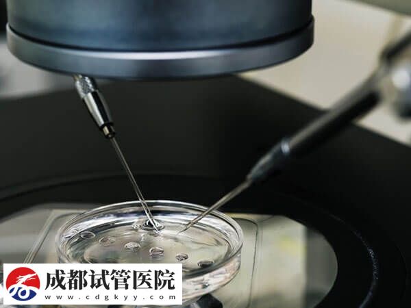2024混血试管婴儿费用说明,单身人士怎么做一瞧便知!(图3) 2024混血试管婴儿费用说明,单身人士怎么做一瞧便知!(图3)