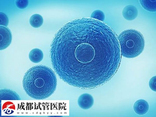哪些人群做试管婴儿需要养囊(图1)