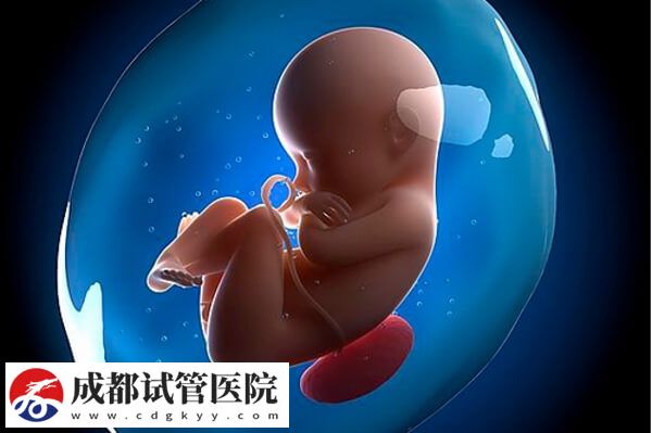 试管婴儿的真实含义解说,单周期助孕费用无法一概而论!(图2) 试管婴儿的真实含义解说,单周期助孕费用无法一概而论!(图2)