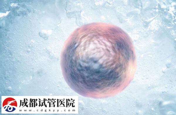 为什么不让单身女性冻卵(图1)