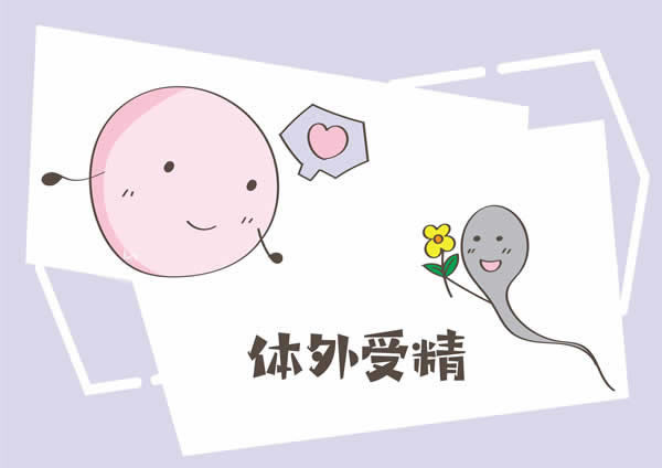 多久可以抽血查男孩女孩？准确率高吗(图1)