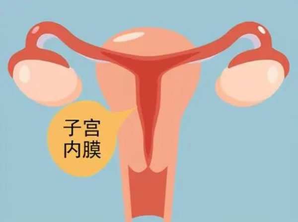 怀孕的孕妈前期怎样知道男孩女孩？看男女的小妙招有吗？(图1)