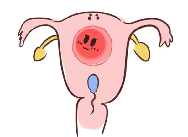 怀男宝胎动厉害还是女宝胎动厉害？胎动看男女靠谱吗？(图1)